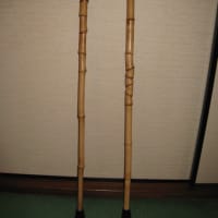 ホテイチク・竹杖