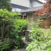 「きよきよ」しい...？