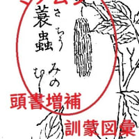 「こおろぎの草子」　　「虫の三十六歌仙」　　7～12