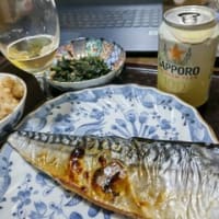 ベトナム年越し再訪旅～その２３　帰国