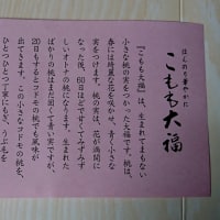 続「こもも大福」(笑)