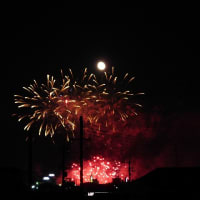 　兵庫県小野市　花火（丸い月と一緒に）　　