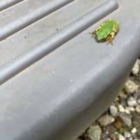 癒しを提供します。