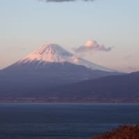 富士山写真お投稿して