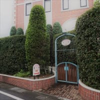 市川市曽谷の乳児遺棄・殺害事件について－22歳の「母親」が逮捕される