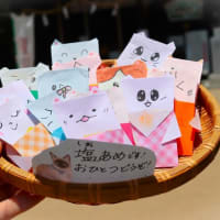 【暑さ対策に塩分補給をどうぞ🍬】
