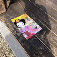 ランチ巡りbook佐賀2020/2-4