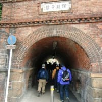 琵琶湖疎水、国宝へ