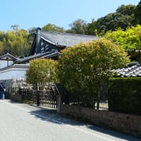 大宰府市の散策記　on　2025-4-9＆4-10　その13　伝衣塔と光明禅寺