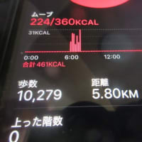 朝ウォーキングの風景。令和7年6月14日。久しぶりに出てきたシロちゃん。