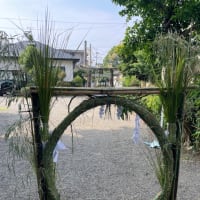 茅の輪くぐり⛩️6/29