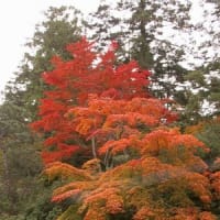 なんちゃって日本一周 （番外編 その４ 後編）