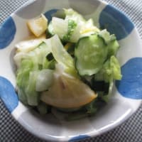 メイヤーレモンを使って