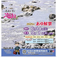足羽川漁協の鮎パンフレットとポスター