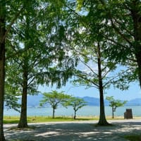 琵琶湖がとても綺麗な日和でした（和食清水 / 琵琶湖大津プリンスホテル）　〜♪