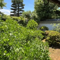 妙心寺塔頭　長慶院　お寺カフェ
