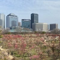 大阪城