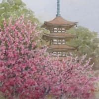 旧作紹介「瑠璃光寺と紅梅」（透明水彩画）