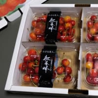 『庄内観光物産館』から届いた山形県寒河江産の"紅秀峰”L-2Lはここ数年で最高の甘味・酸味・食感のバランス！宮崎空港で買っておいた"ひなた黒潮からすみ＜日向灘沖どれ純国産＞”も絶品だった！