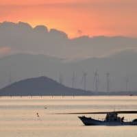 梅雨の晴れ間に...
