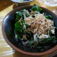 オカワカメを４鉢追加
