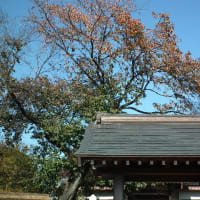 見沼代用水(55)・満蔵寺