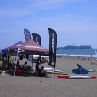 辻堂海浜公園散策