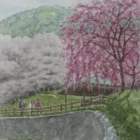 水彩画「桑山の桜」（新作）