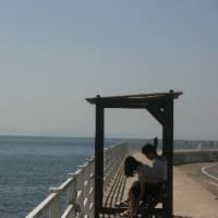 大空＆小島＆飛ぶトビの姿、ドキドキ眺め　(H島、愛知県知多郡南知多町)