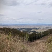 春の景色