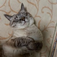 お久しぶりです