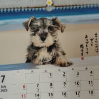 ２０２５年７月＊＊＜喘息＞定期検査