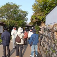 ４月１４日、「現代の名工」樹木医の野島幸一郎さんに、築屋敷の桜並木でお話をしていただきました