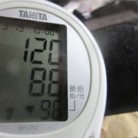 血圧は正常に近づいてきたけど。