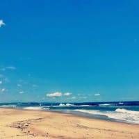 春の浜辺