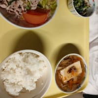 2025年2月13日(事故から80日 経過
