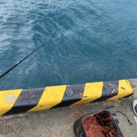 伊豆大島　日帰り釣行