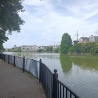 早朝・沢沿いルートで快適（757回目）