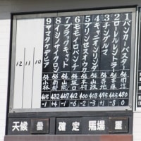 ローレルレントラー