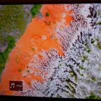 凄い光景（知られざる水の大地　アフリカ　アンゴラ）