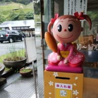 ★蓮の花。