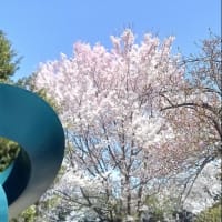 ８０．《　五七の雨に　六つ八つ風　》 　　言い伝えと日本書紀の記述