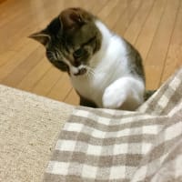 今は冬が好き⭐︎YouTube投稿