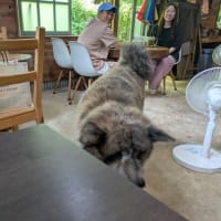 8月31日（日）練習会コースを辿ってみた…