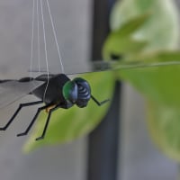 防虫グッズで蚊対策！・・・オニヤンマ模型