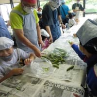 給食「そらまめのさやむきをしよう」
