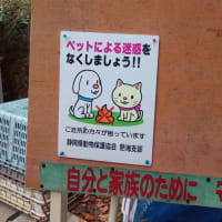 【いぬくそ看板散歩】駿東田方セレクション