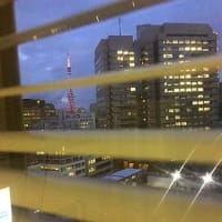 総ビリルビンの上昇