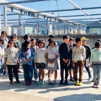 親アユ放流体験&施設見学‼️