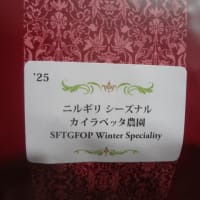 吉祥寺紅茶専門店Gclefニルギリ紅茶
